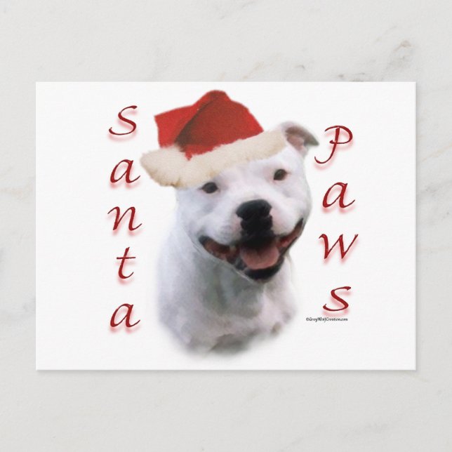 Staffordshire Bull Terrier Santa Paws Holiday Postcard (Front)