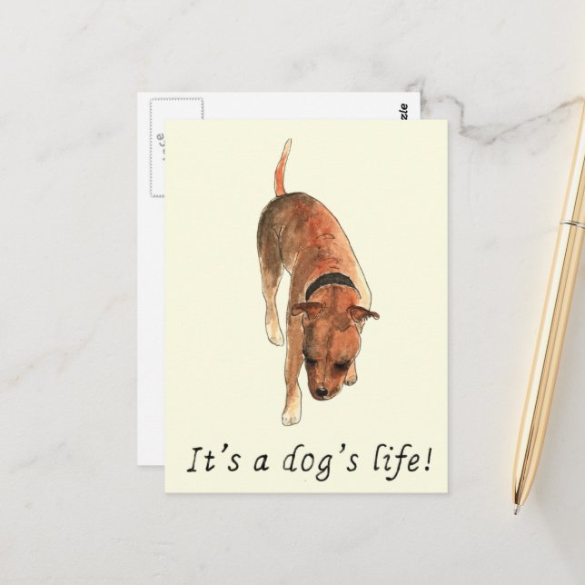 Staffordshire Bull Terrier Saying Postcard (Front/Back In Situ)