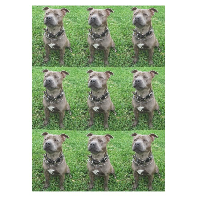 Staffordshire Bull Terrier Sitting At Attention,  Tablecloth (Front)