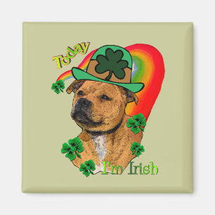 Staffordshire Bull Terrier St. Pat's Magnet