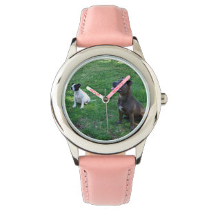 Staffordshire Bull Terrier Treat Time, Watch
