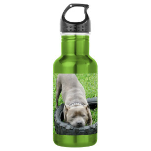 Staffordshire Bull Terrier Tyre Chomp, 532 Ml Water Bottle