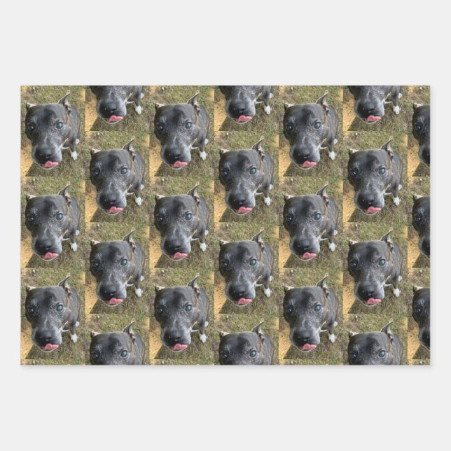 Staffordshire Bull Terrier Wrapping Paper (Front)
