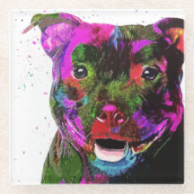 Staffordshire Terrier Colourful Pop Art