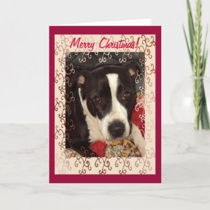 Staffordshire Terrier Merry Christmas! Holiday Card