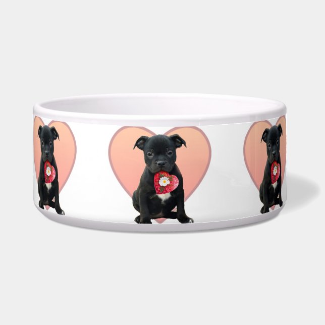 Stafforshire bull terrier puppy dog bowl (Front)