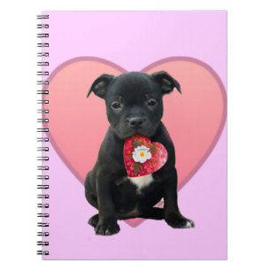 Stafforshire bull terrier puppy notebook