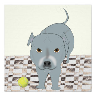 Staffy 24x24 print