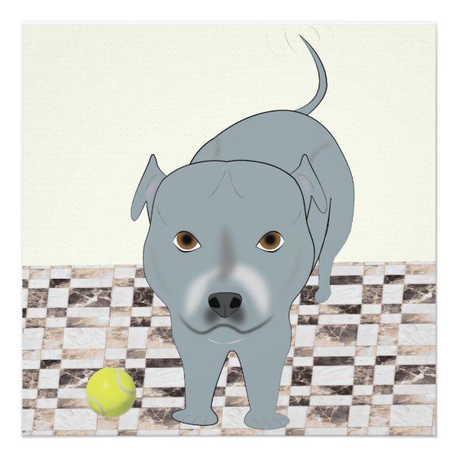 Staffy 24x24 print (Front)