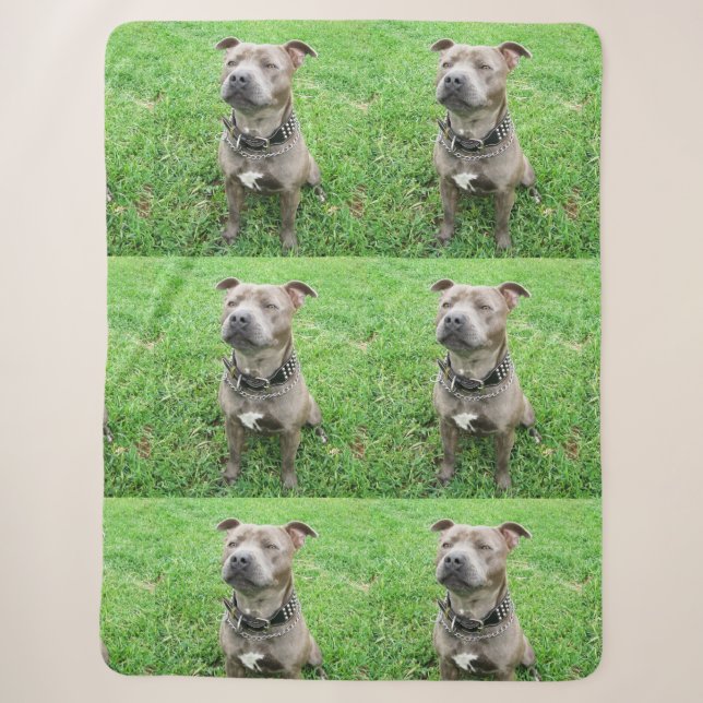 Staffy At Attention, Sherpa Blanket (Front)