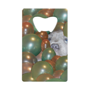 Staffy Hiding In Balloons,