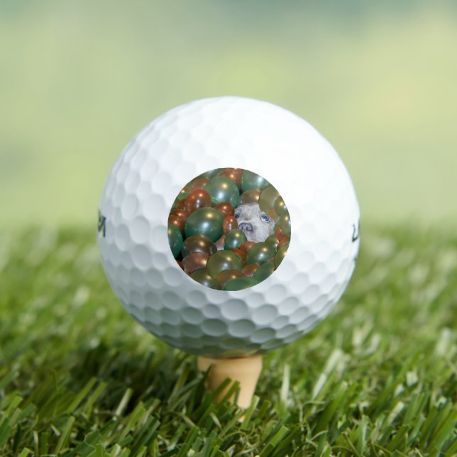 Staffy Hiding In Balloons, Golf Balls (Insitu Tee)