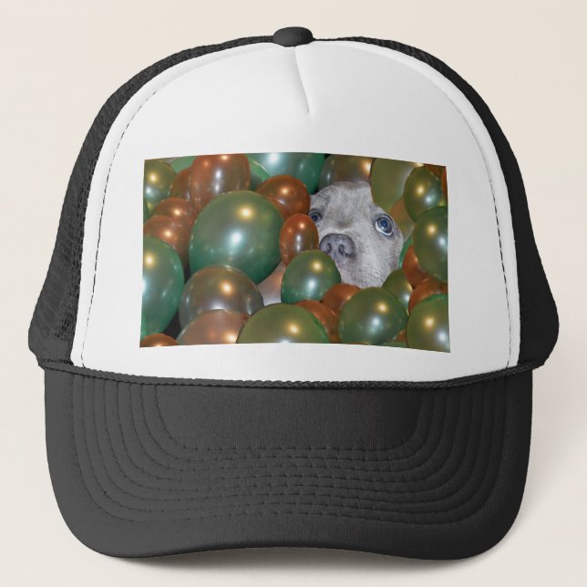 Staffy Hiding In Balloons, Trucker Hat (Front)