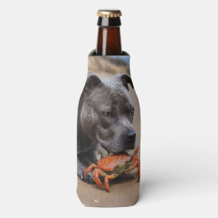 Staffy Is Friends With A Beach Crab, Bottle Cooler