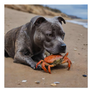Staffy Is Friends With A Beach Crab, Poster