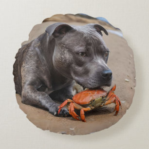 Staffy Is Friends With A Beach Crab, Round Cushion