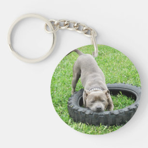 Staffy One Chomp Or Two, Key Ring