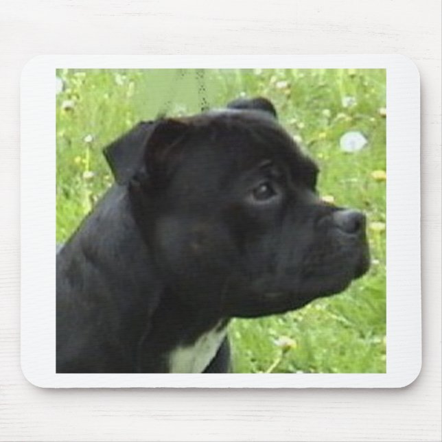 staffy.png mouse mat (Front)