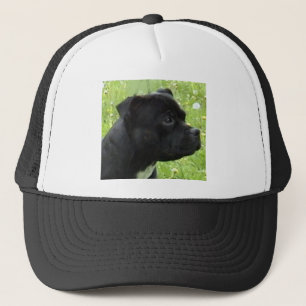 staffy.png trucker hat