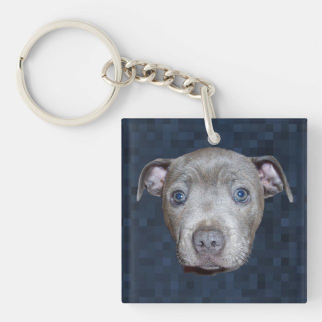 Staffy Puppy Face, Key Ring (Front)