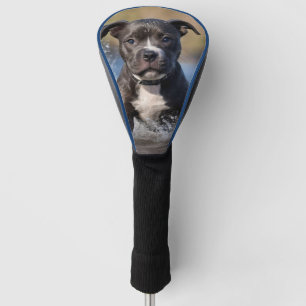 Staffy Puppy Splashing In The Sea, Golf Head Cover