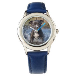 Staffy Puppy Splashing In The Sea, Kids Watch