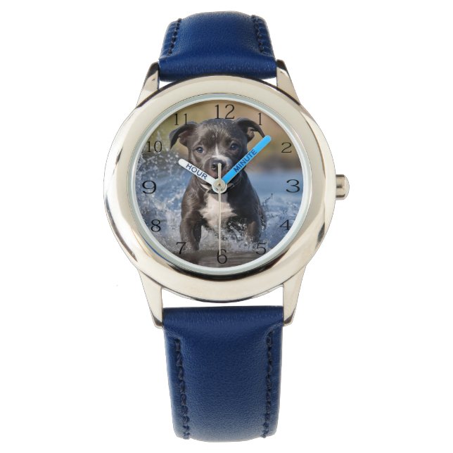 Staffy Puppy Splashing In The Sea, Kids Watch (Front)