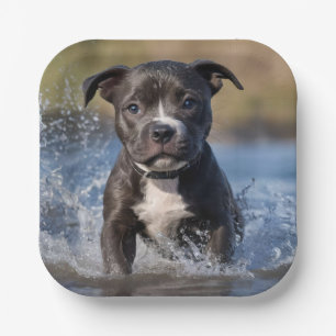 Staffy Puppy Splashing In The Sea, Paper Plate