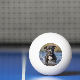 Staffy Puppy Splashing In The Sea, Ping Pong Ball