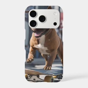 Staffy Skateboarder,