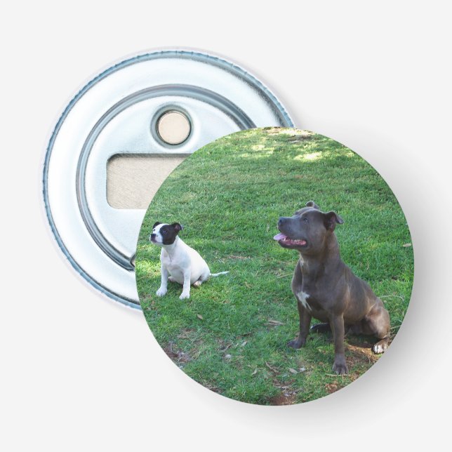 Staffys Waiting For Treats, Magnetic Bottle Opener (Front)
