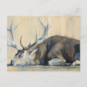 Stag 2014 postcard