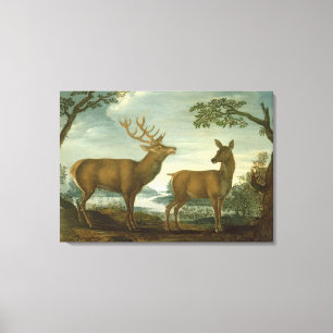 Stag and hind in a wooded landscape canvas print