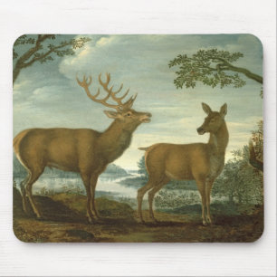 Stag and hind in a wooded landscape mouse mat