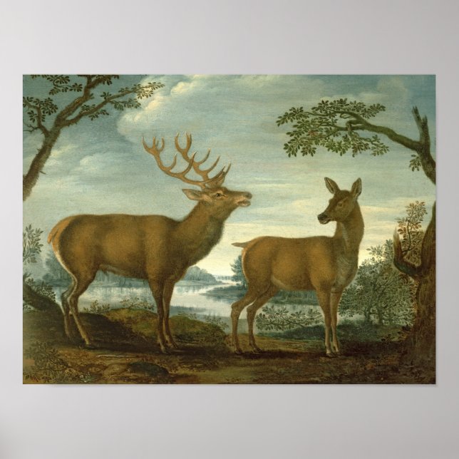 Stag and hind in a wooded landscape poster (Front)