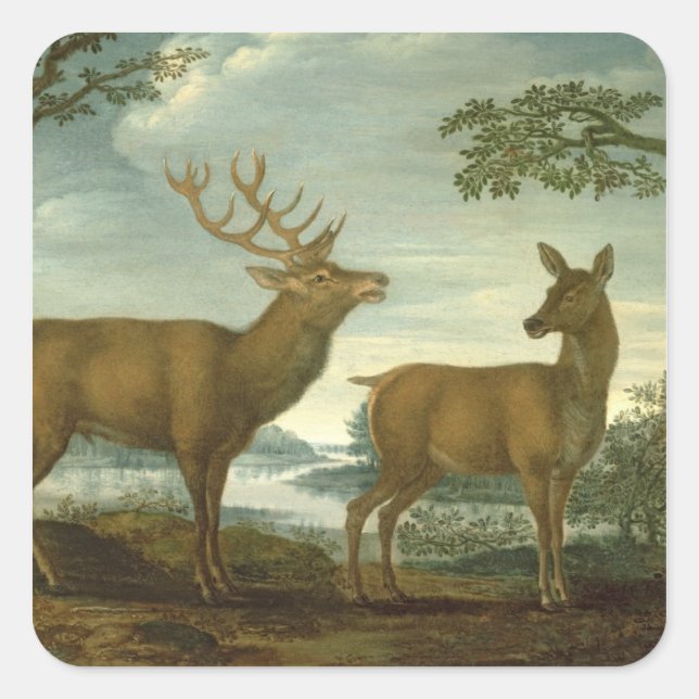 Stag and hind in a wooded landscape square sticker (Front)
