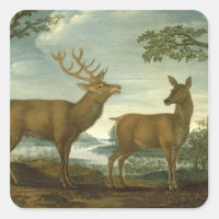 Stag and hind in a wooded landscape
