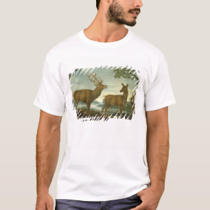 Stag and hind in a wooded landscape T-Shirt