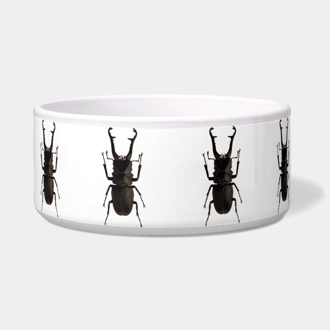 Stag Beetle (Left)