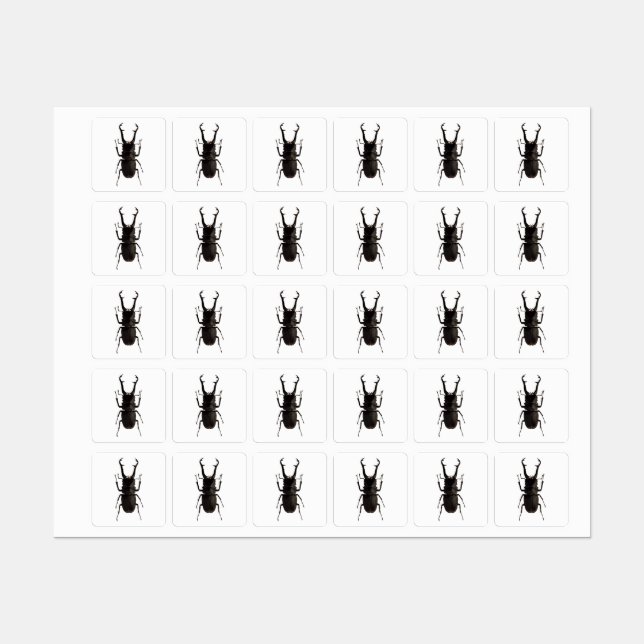 Stag Beetle (Sheet)