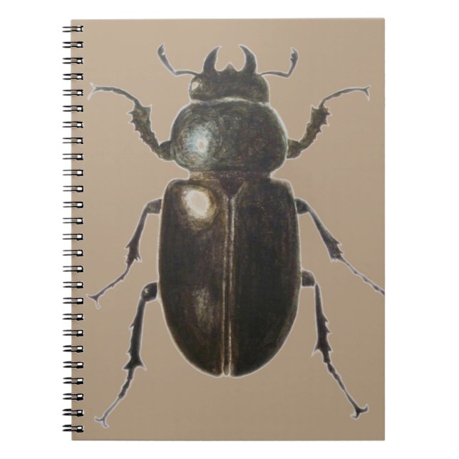 Stag Beetle 2011 Notebook (Front)
