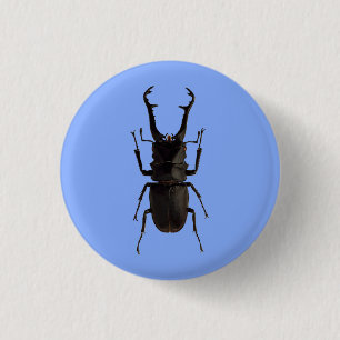 Stag Beetle 3 Cm Round Badge