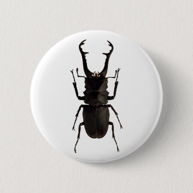 Stag Beetle 6 Cm Round Badge (Front)
