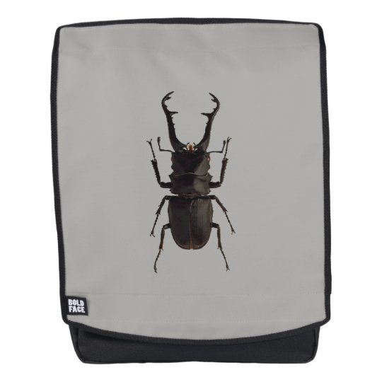 Stag Beetle Backpack Uk