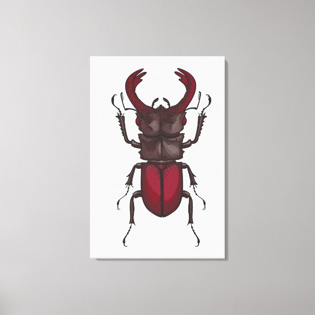 Stag beetle canvas print (Front)