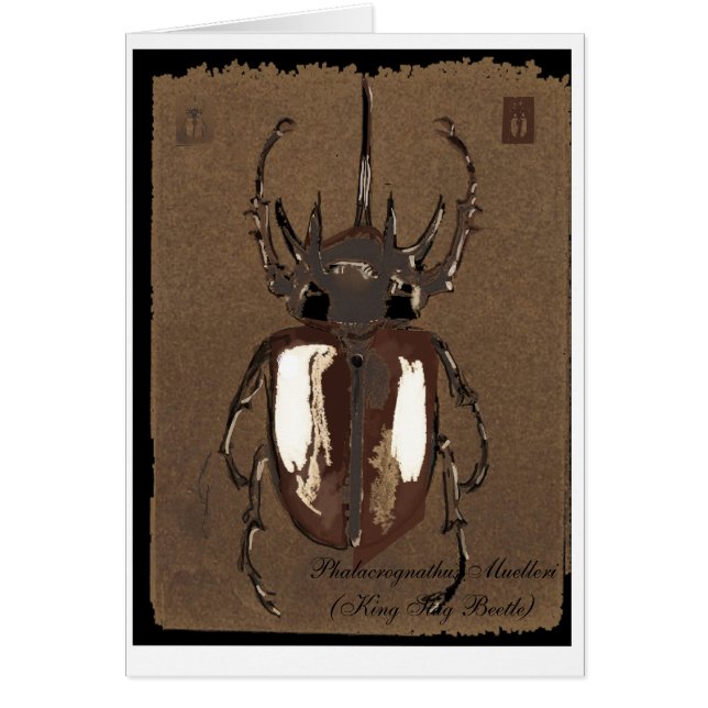 Stag Beetle Card (Front)