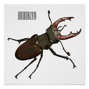 Stag beetle cartoon illustration poster