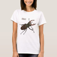 Stag beetle cartoon illustration