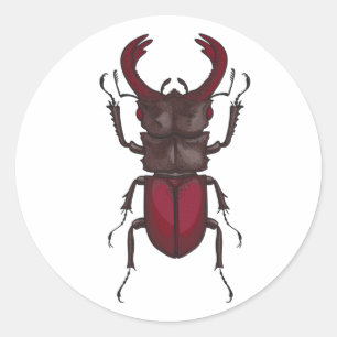 Stag beetle classic round sticker