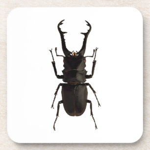 Stag Beetle Coaster